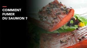 apprendre à fumer du saumon