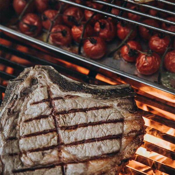 grillades sur grille en fonte monolith