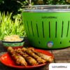 brochettes sur Barbecue portable LotusGrill