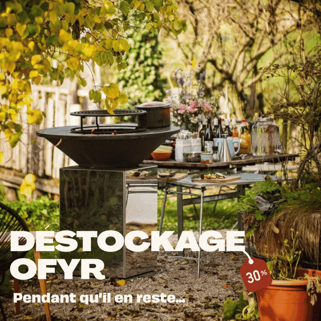 promo brasero barbecue ofyr